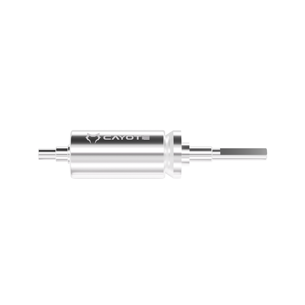 brushless motor rotor